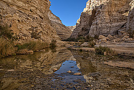 En Avdat (2v9)_t.jpg